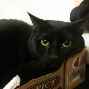 Meet your Posher, Jesse